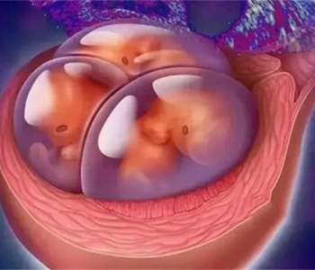 3岁广州捐卵宝宝营养不良的标准 孩子营养问题关乎千万人的心